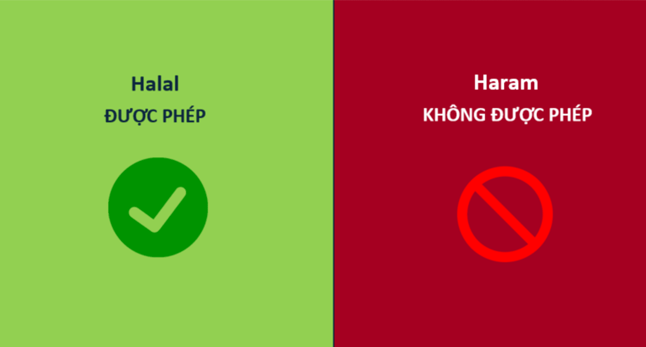 Screenshot 2026-01-21 at 21.46.30.png